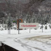 Winter 2012