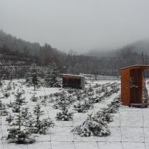 Winter 2012