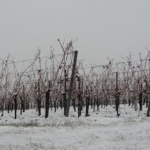 Winterruhe